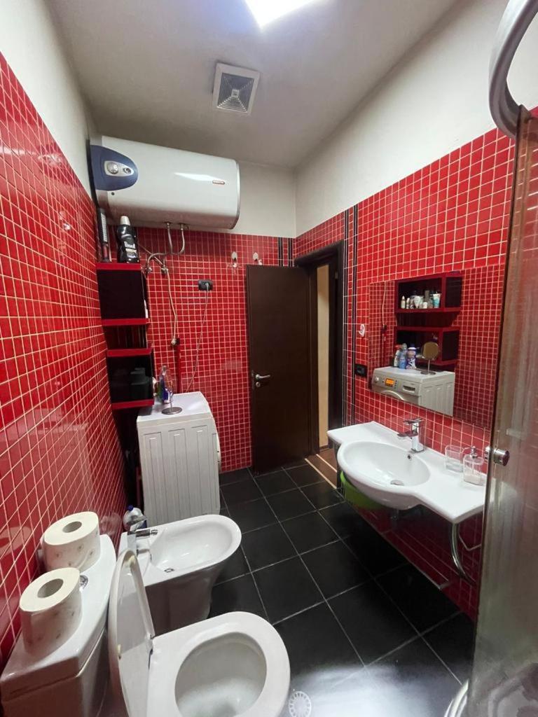 Luxury Apartment City Centre ティラナ エクステリア 写真